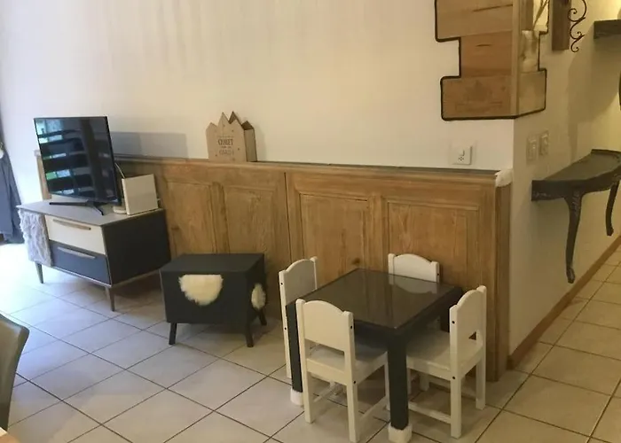 Magnifique De Montagne Appartement *